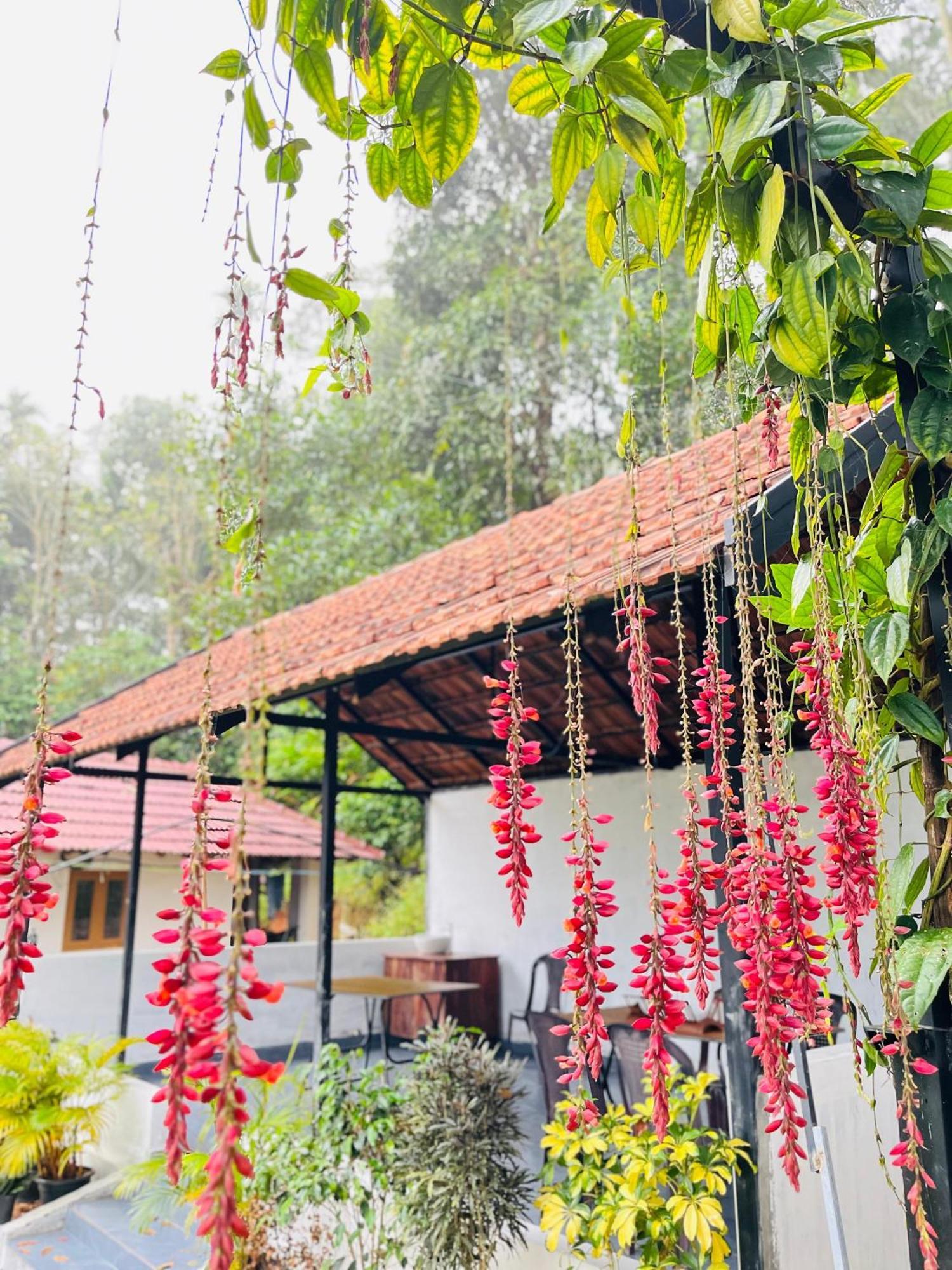 Partho Home Stay Padinjarathara Екстериор снимка